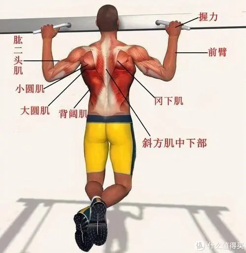 3D恐龙世界游戏王者